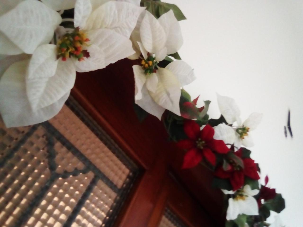 Officina Urban Sleep Bed & Breakfast San Benedetto del Tronto Eksteriør bilde