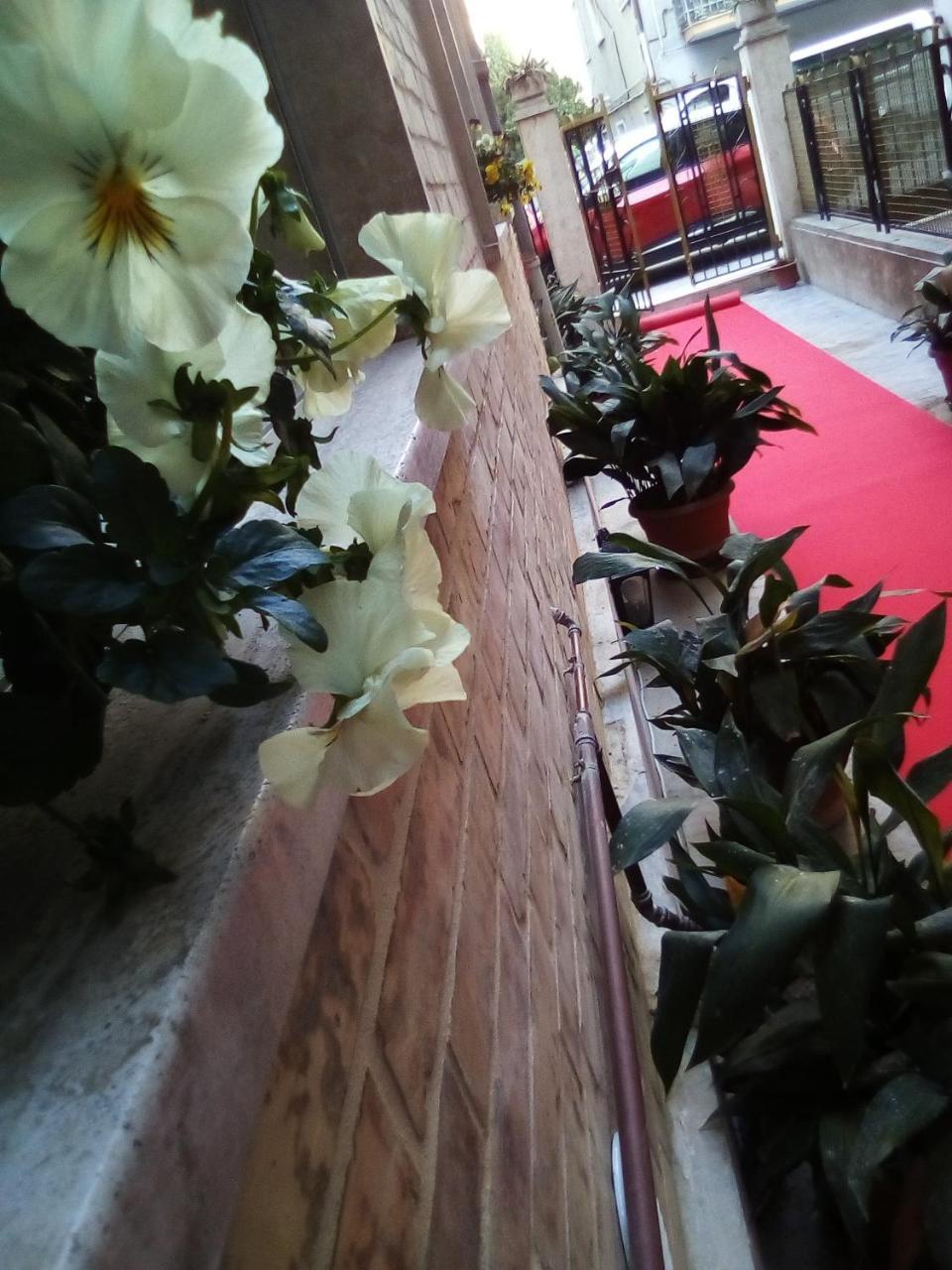 Officina Urban Sleep Bed & Breakfast San Benedetto del Tronto Eksteriør bilde