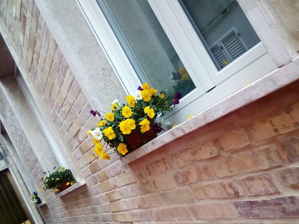 Officina Urban Sleep Bed & Breakfast San Benedetto del Tronto Eksteriør bilde